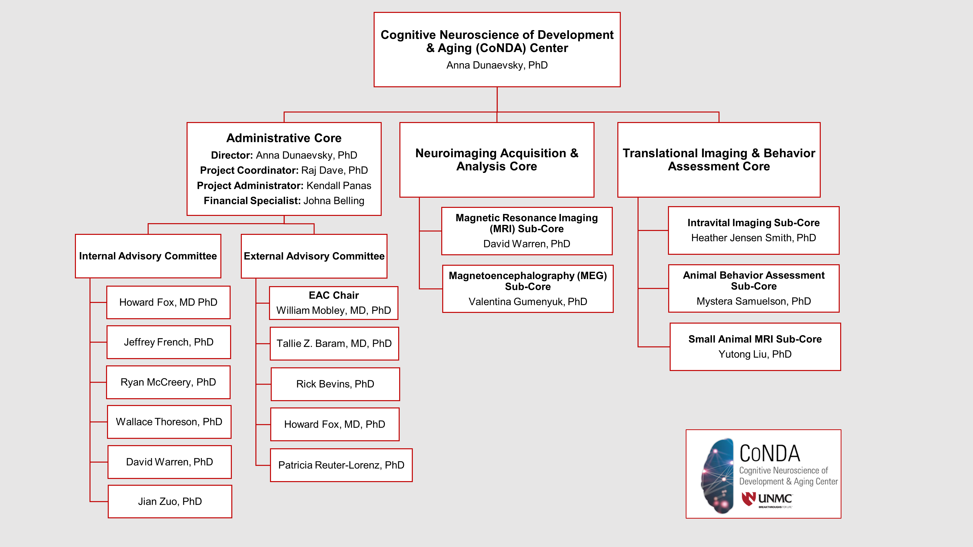 CoNDA Center Organization Chart