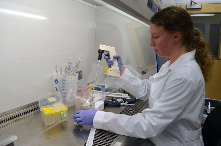 Lab services in Developmental, Degenerative and Regenerative Neurosciences