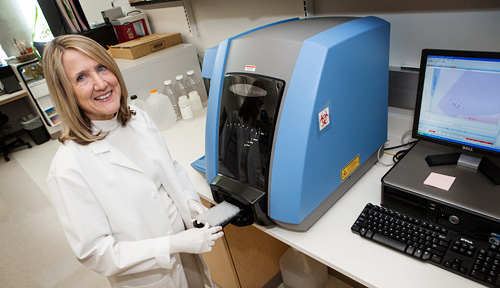 Shelley Smith, Ph.D., demonstrates how she loads DNA samples into the Bead Express. Her team soon will begin genotyping the samples to test for “candidate genes” of language problems.