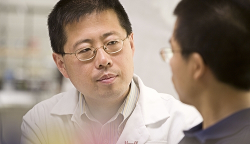Dong Wang, Ph.D.