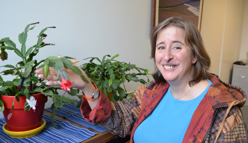 Kris Hammond displays one of the Christmas cacti she cares for in the HR office.