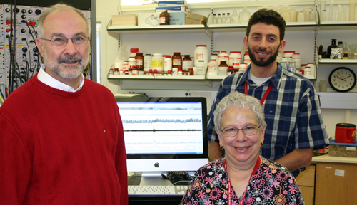 From left, Harold Schultz, Ph.D., Mary Ann Zink and Noah Marcus, Ph.D., of the UNMC Department of Cellular and Integrative Physiology.