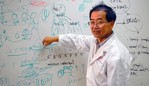 San Ming Wang, M.D., uses
low- and high-tech tools
in his research on familial
breast cancer.