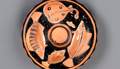 Red-Figure Fish Plate (torpedo fish, striped sea perch, small bream, sea bass, scallop), South Italian, Apulian, attributed to the Painter of the Potenza Fishplate, ca. 330-310 BC, ceramic, Tampa Museum of Art. Gift of Mr. and Mrs. William Knight Zewadski, 1987.