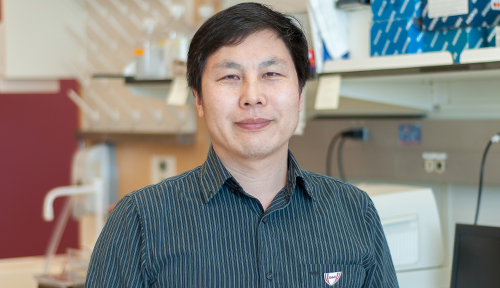 Cheng Wang, Ph.D.