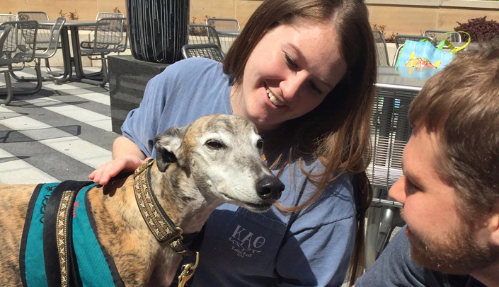 A few of the guests at the McGoogan Library's pet therapy event Tuesday.