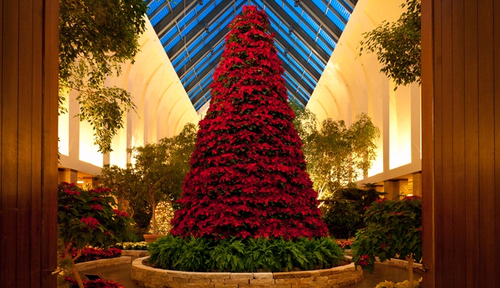 The Holiday Poinsettia Show at Lauritzen Gardens (Photo by Larry Fasnacht)