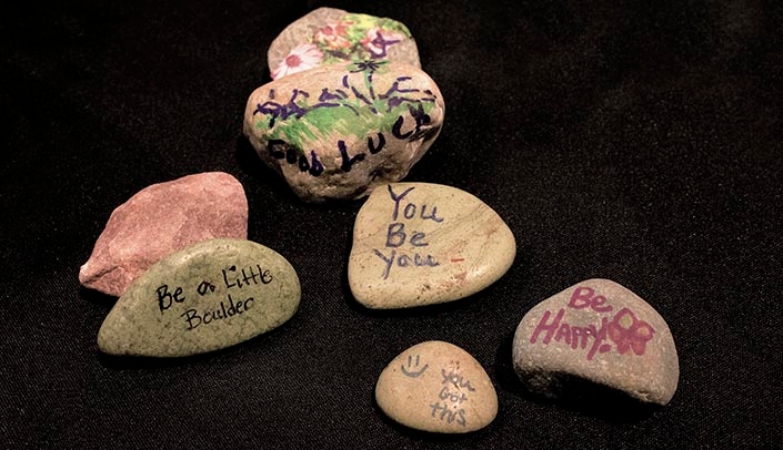 The "Rock Garden" is part of the McGoogan Library's relaxation activities.