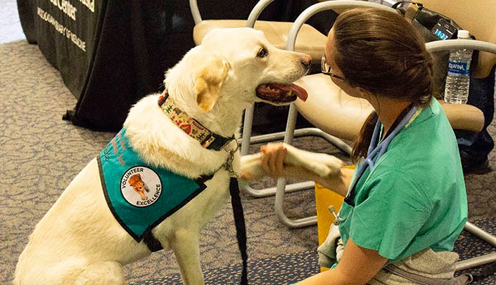 Events include a visit from volunteers from Paws for Friendship, a local pet therapy organization.