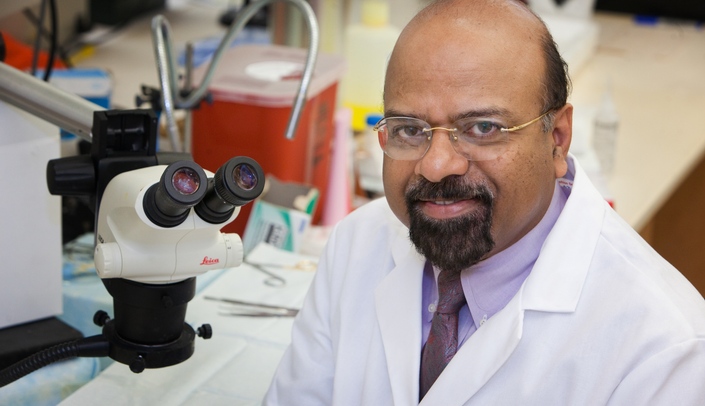 Babu Padanilam, PhD, cellular & integrative physiology, received a $425,000 grant from the National Institute of Mental Health.