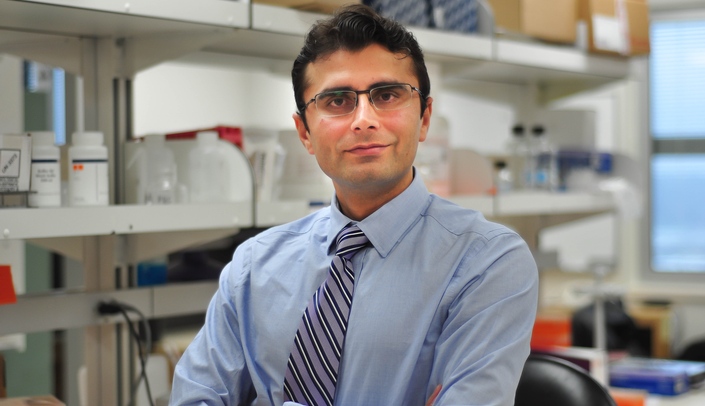 Pankaj Singh, Ph.D.