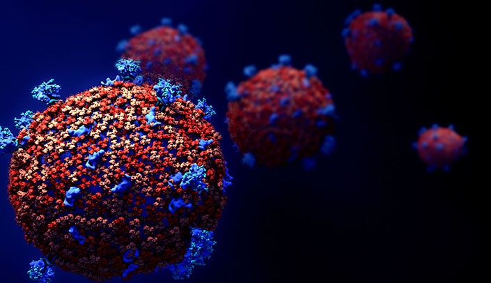 An image of COVID-19, or the novel coronavirus