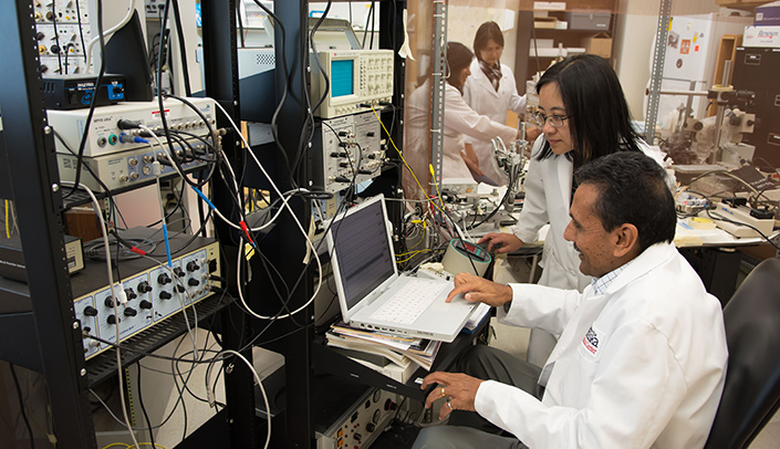 Dr. Patel and Dr. Zheng measure neurons in the brain.