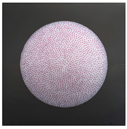 picture disc.