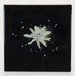 picture disc.