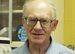 Sidney Mirvish, Ph.D.