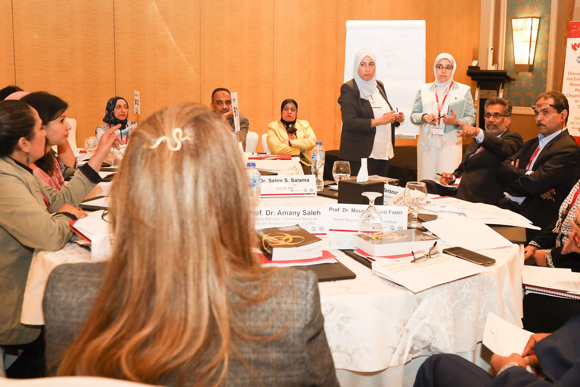 At right&comma; Ali Khan &lpar;arm extended&rpar;&comma; MD&comma; MPH&comma; dean of the UNMC College of Public Health&comma; leads a workshop in Egypt along with other members of the college&period;