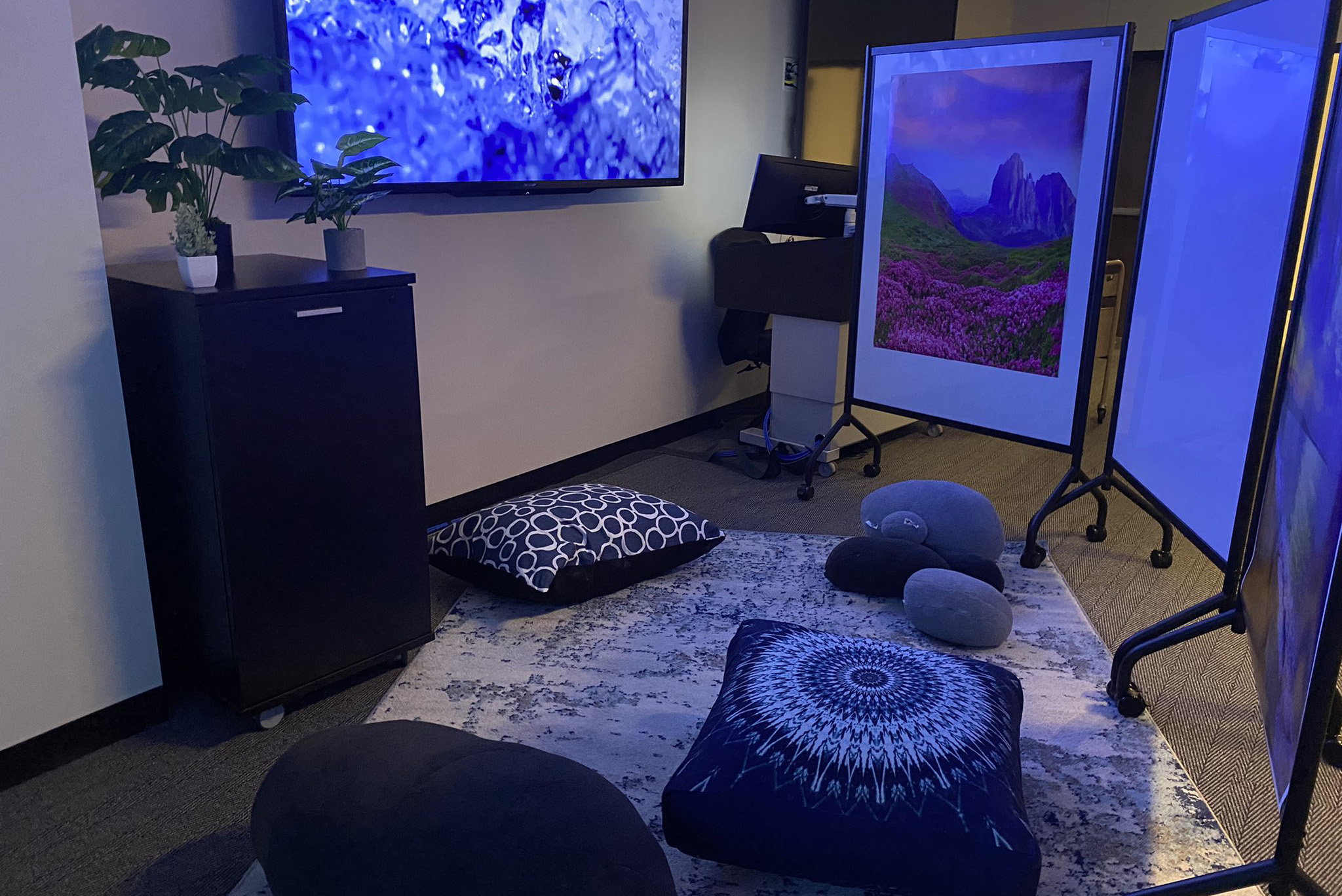 New Sensory-Friendly Room Designed by HDG is Unveiled at
