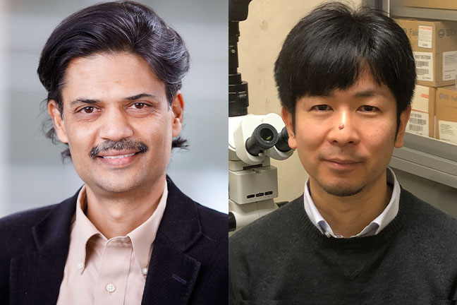 UNMC&apos;s Channabasavaiah Gurumurthy&comma; PhD&comma; MVSC &lpar;DVM&rpar;&comma; and Masato Ohtsuka&comma; PhD&comma; of Tokai University&comma; Japan