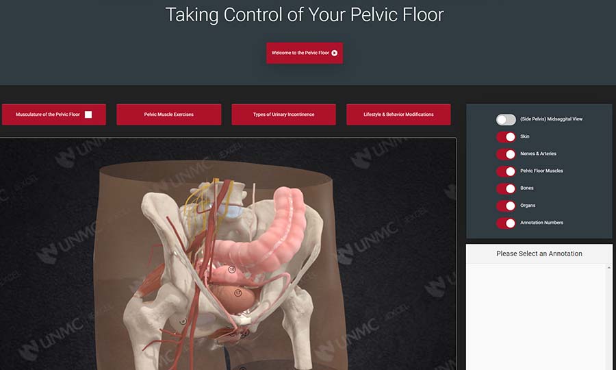 Jennifer Cera&comma; DNP&comma; UNMC College of Nursing clinical assistant professor&comma; developed a 3D-Virtual reality pelvic model that earned honors at a recent visual media competition&period;