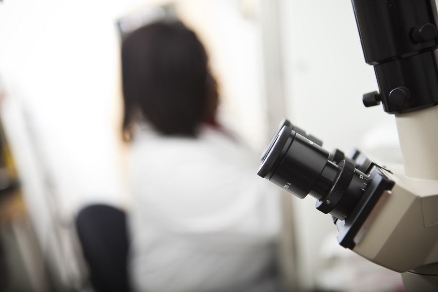 Two ISO-certified laboratories provide key testing expertise