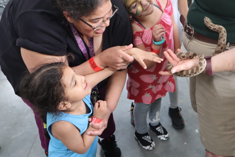 Families got free zoo admission&comma; a buffet lunch and a meet-and-greet with a snake during a respite event&period;