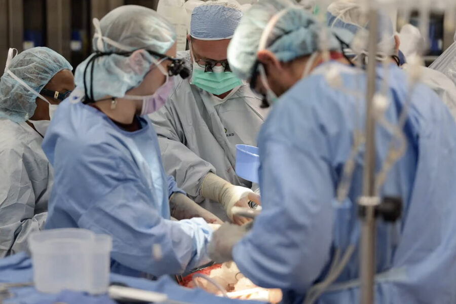 Tuesday event will celebrate transplant program teams