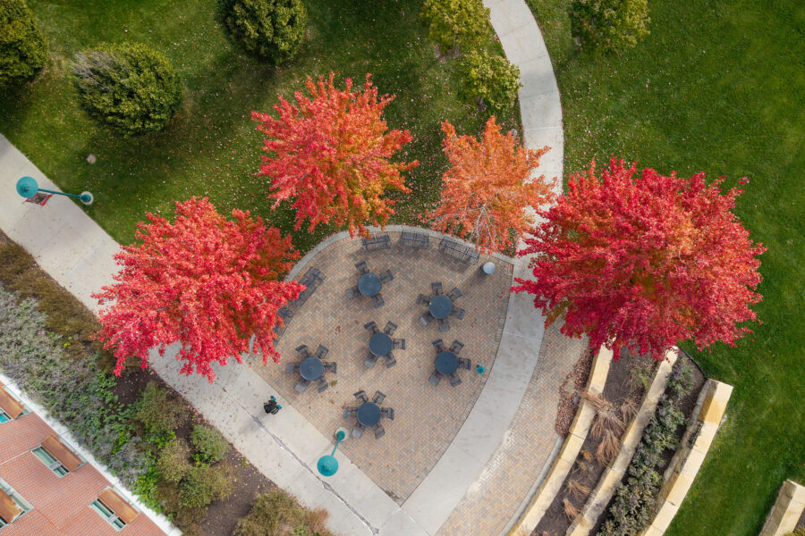 Fall trees on the UNMC Omaha campus&comma; as taken by a drone camera