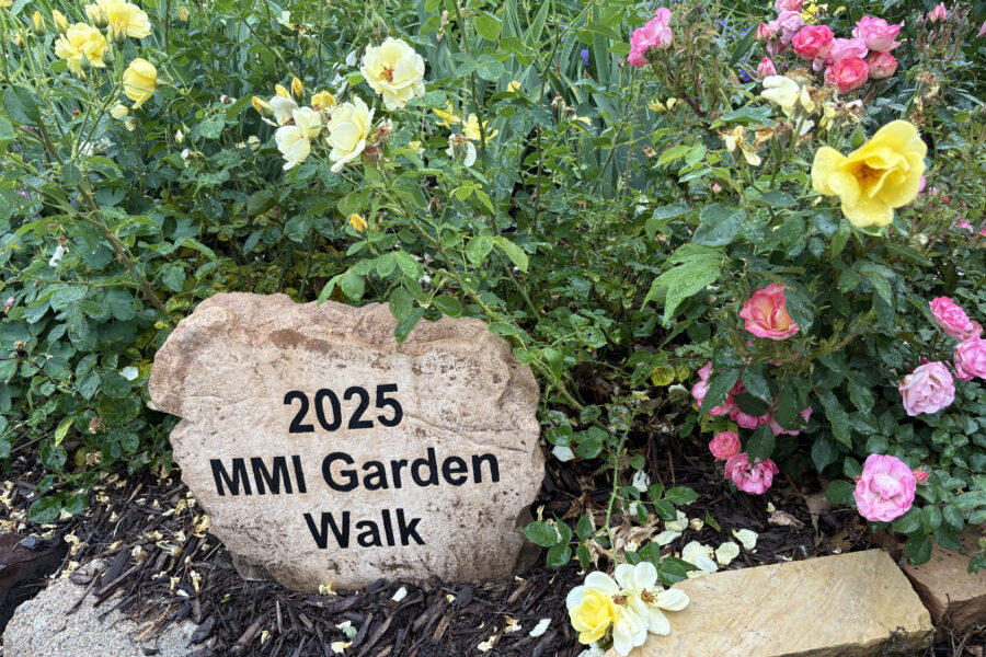 The four proposals from the Munroe-Meyer Institute will receive nearly &dollar;100&comma;000 from the guild&period; The Munroe-Meyer Guild has funded grants at MMI for more than 50 years&comma; totaling more than &dollar;1 million in grants&period;