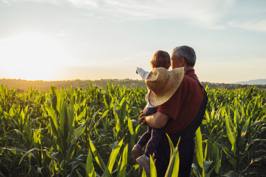 image of farmer and child in a corn field