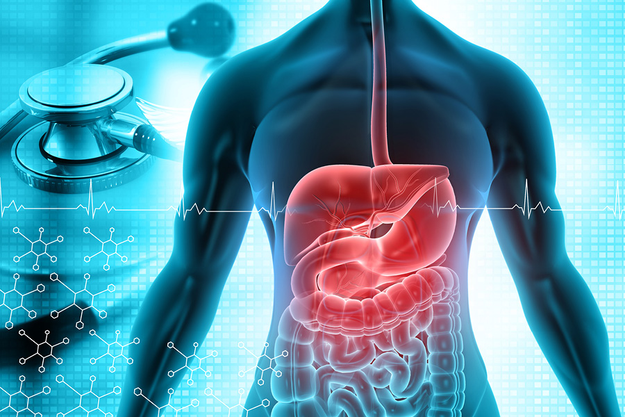 A digital illustration showing a human torso with highlighted digestive system organs, including stomach, intestines, and liver, in red. Background features medical symbols, a stethoscope and an electrocardiogram line.