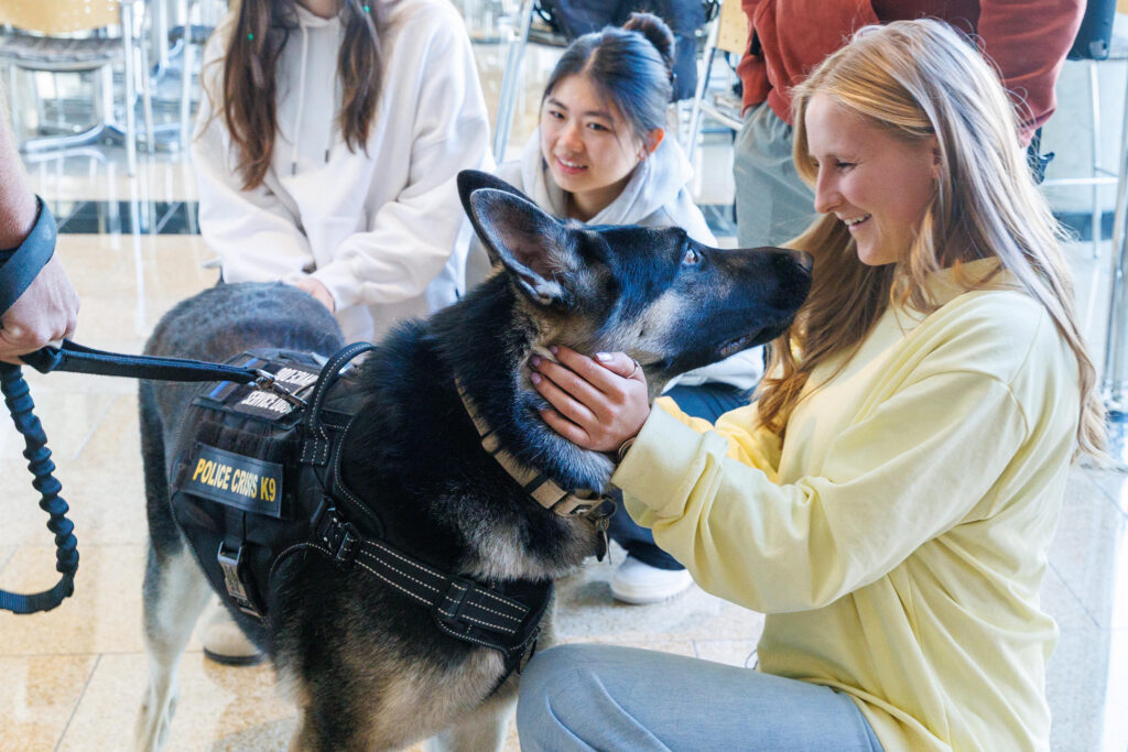 Therapy K9 Ares greets students.