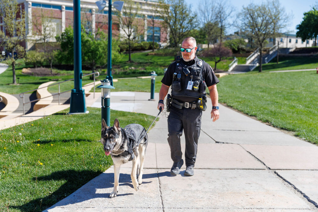 UNPPSD Officer Sean Sommer, a therapy K9 handler, walks Ares on the UNMC green space Friday April 24, 2026.