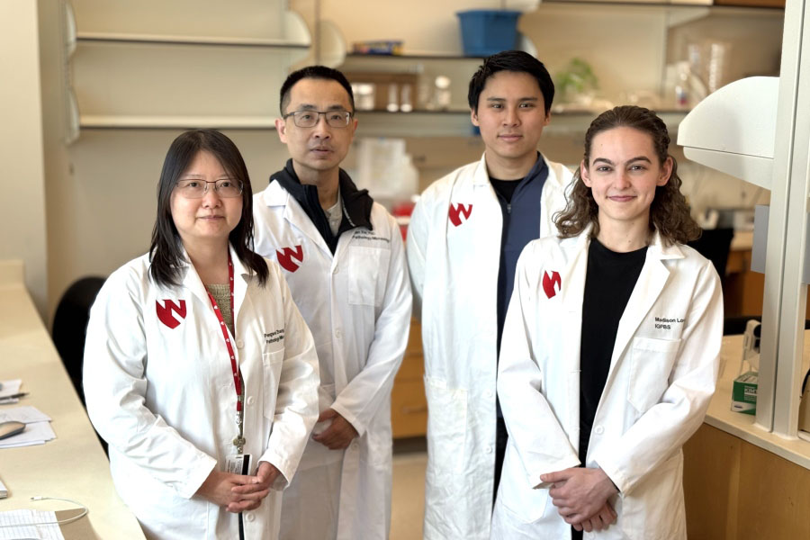 Authors of the research paper&comma; from left&colon; Drs&period; Pengwei Zhang and Jian Xie and doctoral students Richard C&period; Dang and Maddie Love&period;