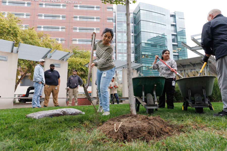 Neelanjana Gayen&comma; a UNMC PhD student in biochemistry and molecular biology and president of UNMC&rsquo;s Health Educators and Academic Leaders &lpar;HEAL&rpar; organization&comma; helped planted a tree in the green space in front of the Durham Research Center last October at an event with UNMC grounds staff and the LiveGreen Ambassadors organization&period;