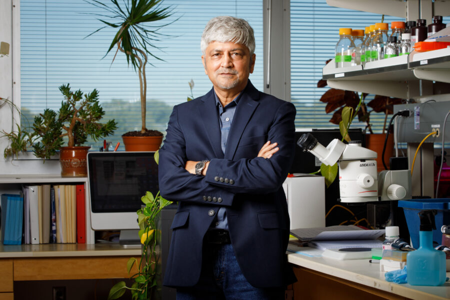 Iqbal Ahmad&comma; PhD