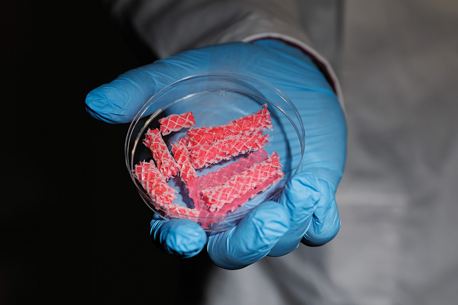 Biodegradable scaffolds prototyped in Dr. Kumbar’s lab help nerves heal and regenerate.