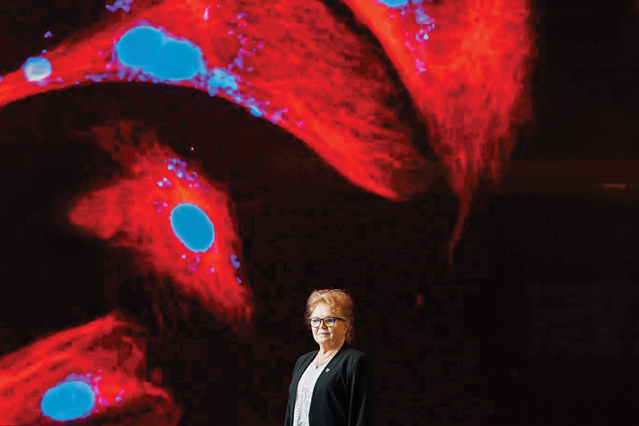 Janina Baranowska-Kortylewicz, PhD, is a research professor in the College of Pharmacy at the University of Nebraska Medical Center. She is photographed at the Davis Global Center with a photograph of cells reacting to one of her developed medications.
