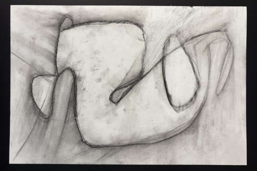 A charcoal drawing was one of about 150 works of art featured in the Advocacy and the Arts showcase.