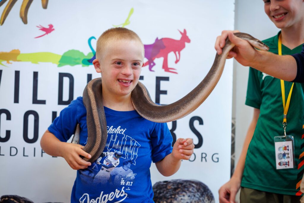 As a counselor looks on from the right, a camper in a blue Dodgers shirt grins while a python is draped across his shoulders and hte back of his neck.