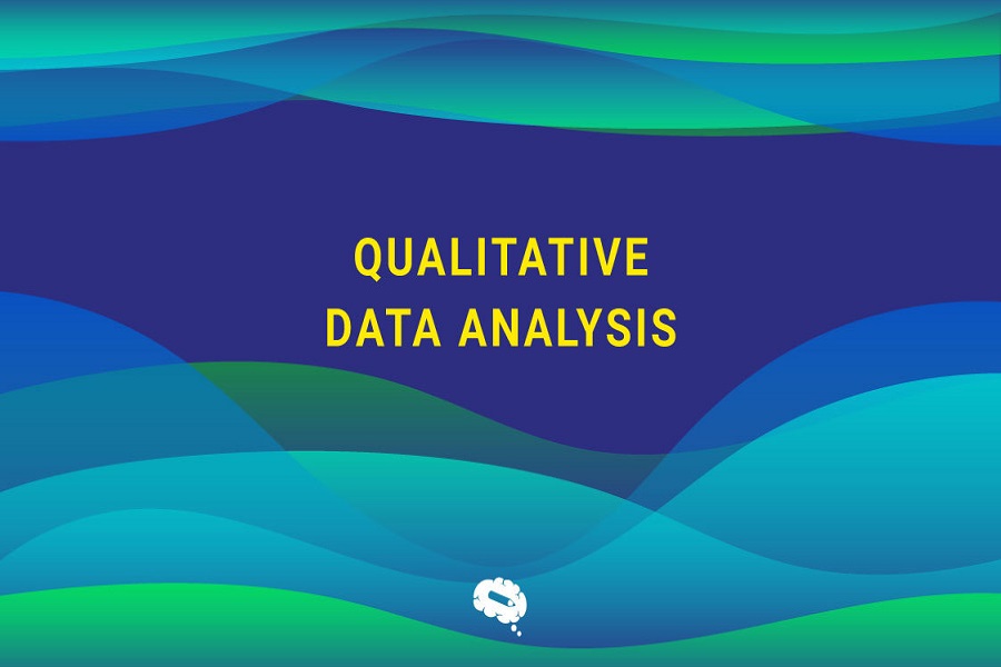 Qualitative Data Analysis