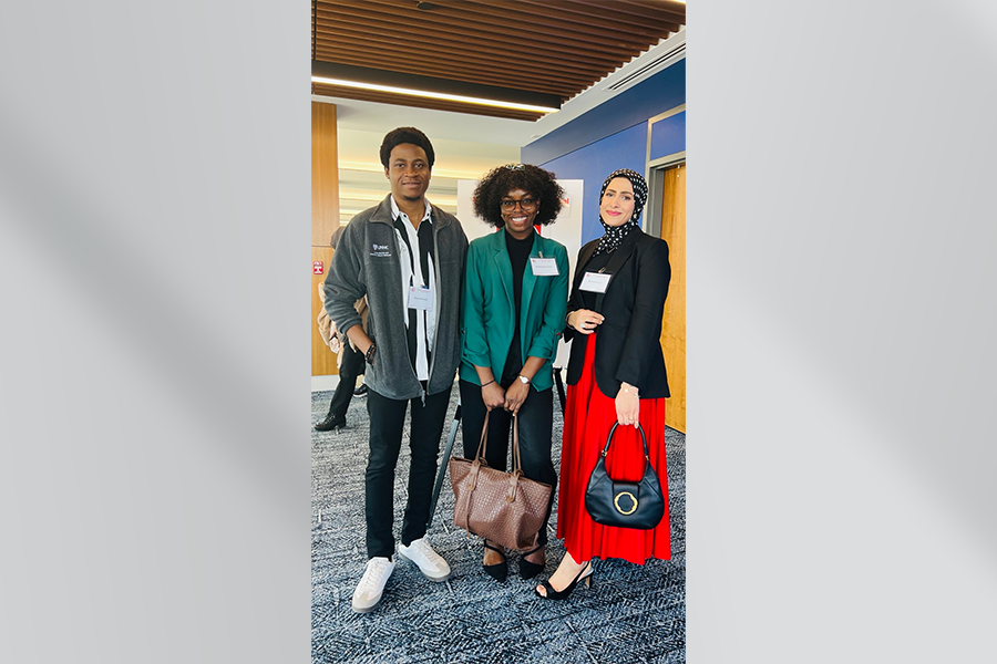 Bunmi Owolabi, Christianah Aloba, and Rasha Ghorab