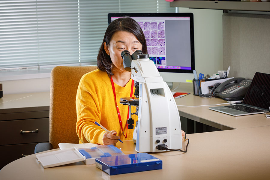 So-Youn Kim, PhD, with a high-powered microscope