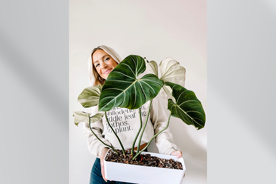 Samantha Hermann, House Plus Plant