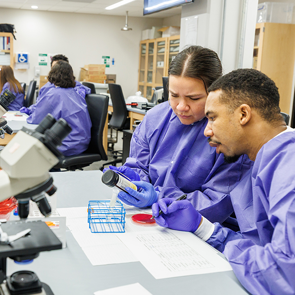 Medical Laboratory Science