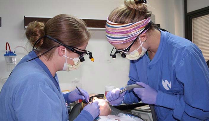 Students provide dental care
