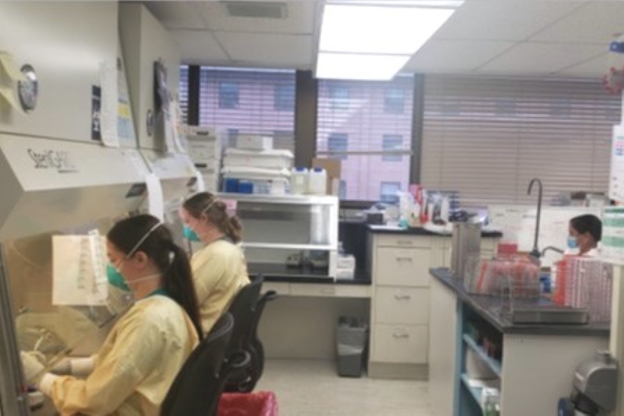 Three people seated working in lab