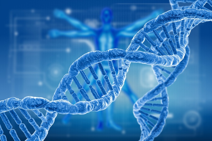 DNA double helix
