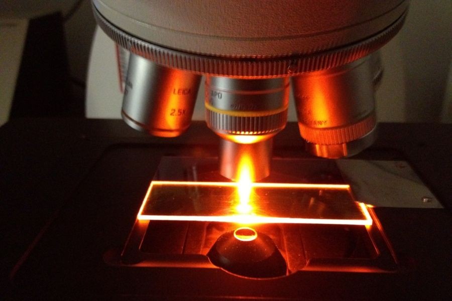 view of slide under a microscope