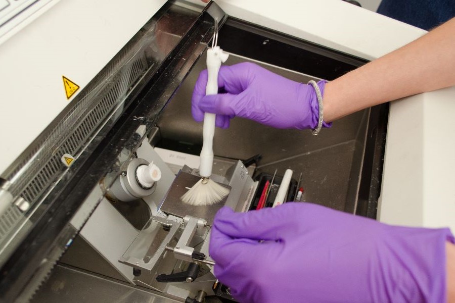 frozen microtome